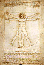 L'Homme de Vitruve - Vinci - 1492